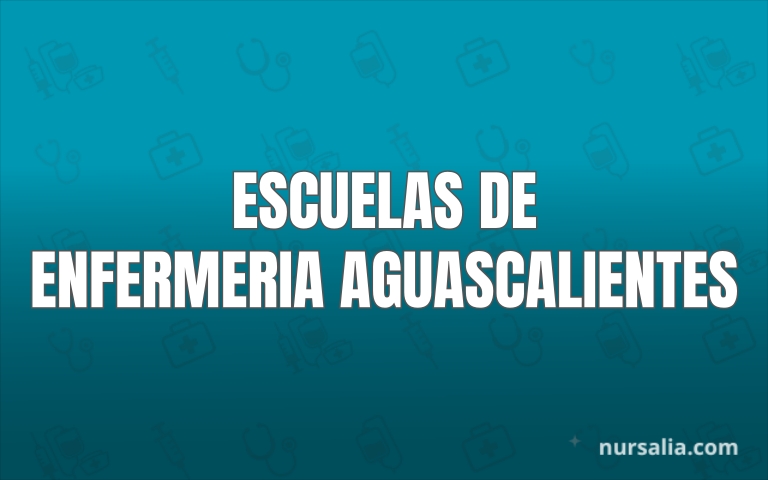 Escuelas De Enfermeria En Aguascalientes