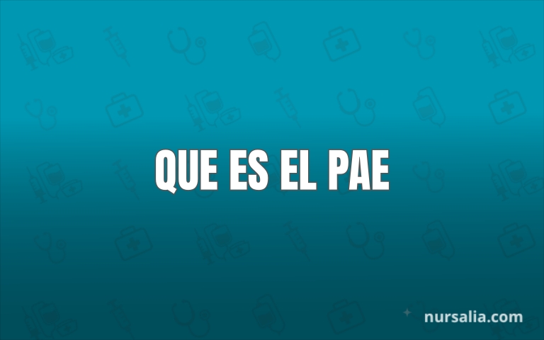 Que Es El Pae Importancia Etapas Y Objetivos
